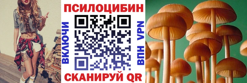 где купить наркоту  Лениногорск  Псилоцибиновые грибы GOLDEN TEACHER 