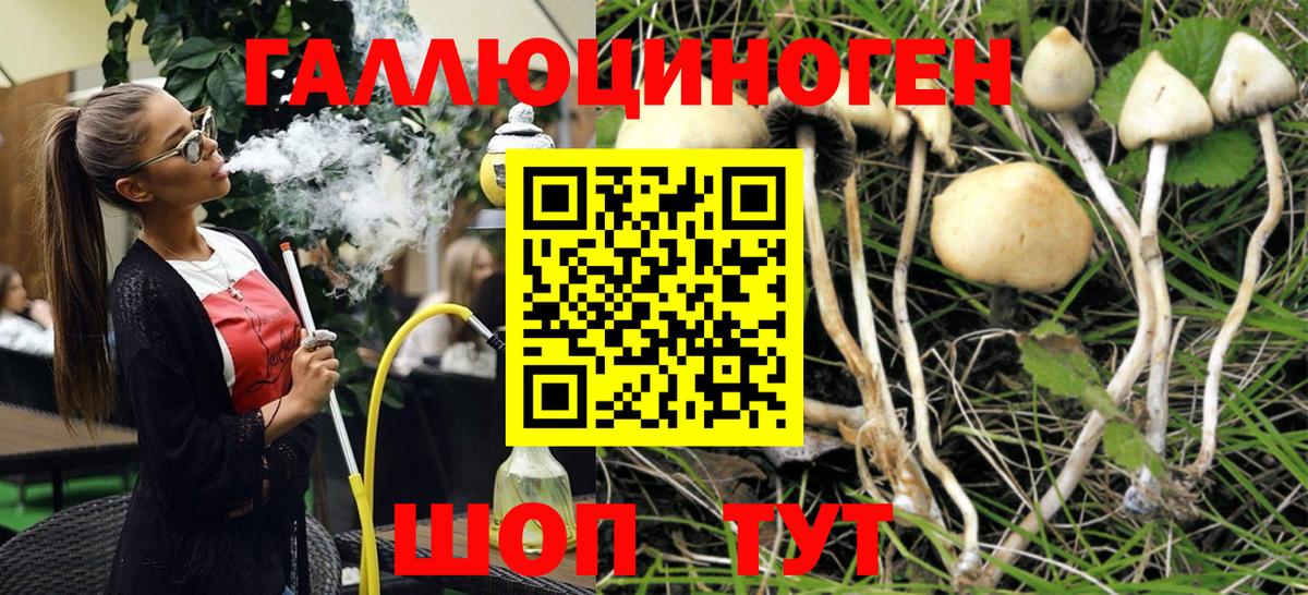Псилоцибиновые грибы мухоморы Лениногорск