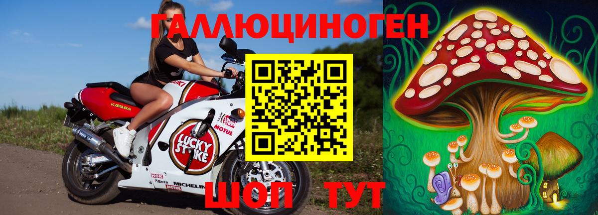 Псилоцибиновые грибы Psilocybe  Галлюциногенные грибы GOLDEN TEACHER  Лениногорск  Вход с VPN 