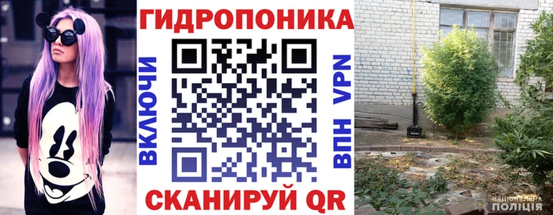 Шишки марихуана VHQ  Лениногорск 
